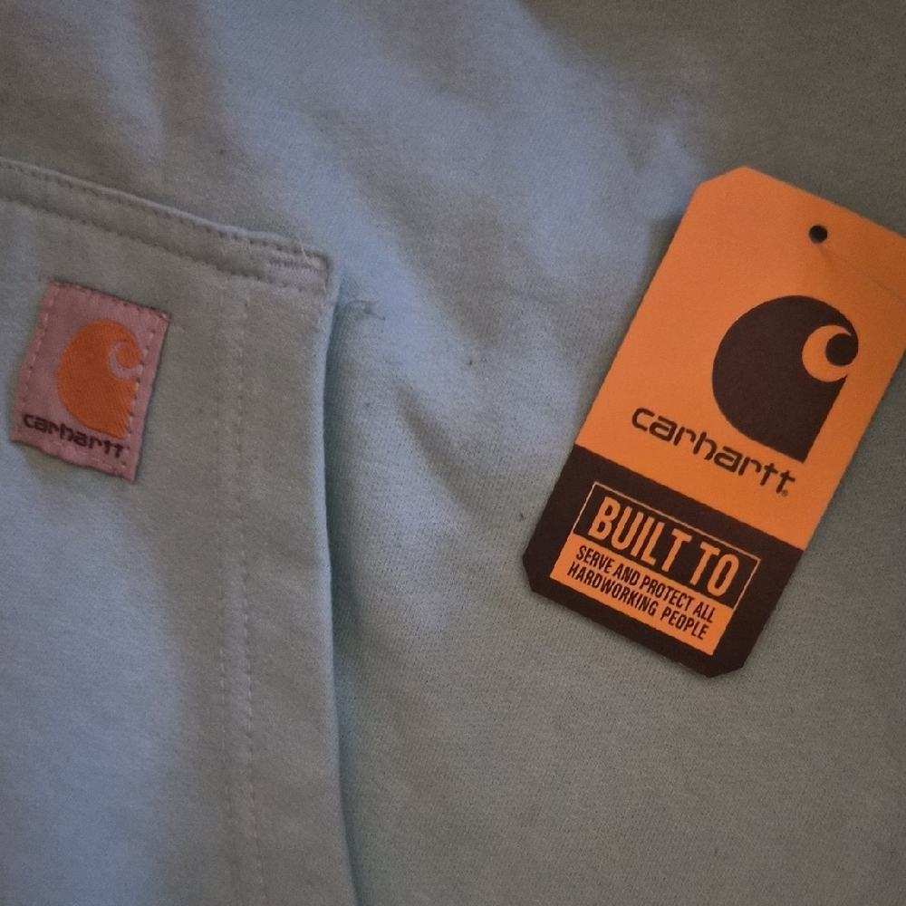 Carhartt Aqua Hoodie with Black Logo - Picture 2 of 3